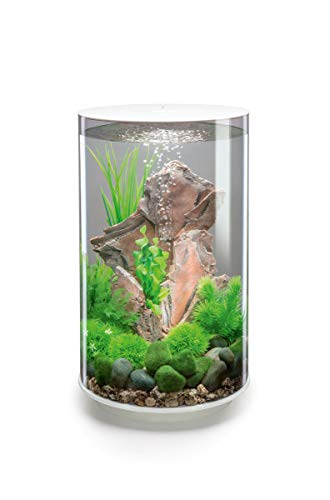 biOrb Acrylique TUBE LED Poisson blanc   30L