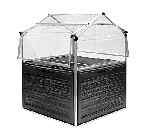 Canopia by Palram Serre de Jardin Plant Inn 1.4m² (Argent) Cadre en Aluminium, Panneaux en Polycarbonate, Résistant aux UV