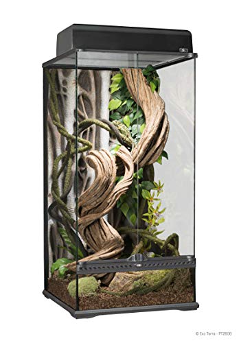 Exo terra Terrarium Naturel pour Reptile/Amphibien 45 x 45 x 90 cm