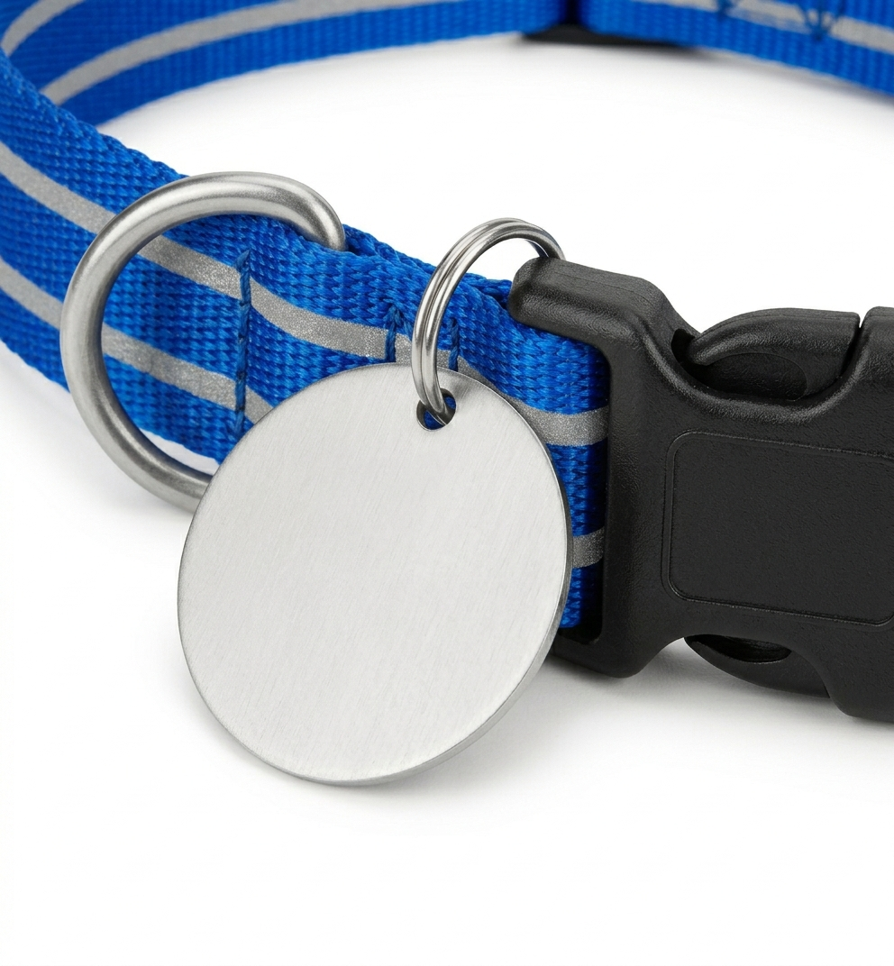 Yasminer-Collier en Nylon Réfléchissant pour Chien avec Médaille Personnalisée